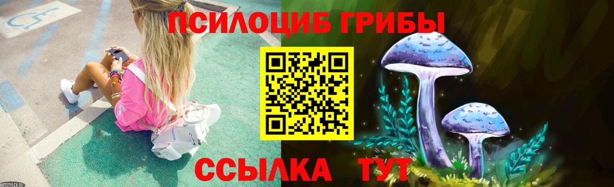 Псилоцибиновые грибы Cubensis  Галлюциногенные грибы ЛСД  Усть-Лабинск  Вход с VPN 